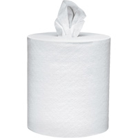 Scott<sup>®</sup> Essential Paper Towels, 2 Ply, Centre Pull, 625' L NJI990 | Brunswick Fyr & Safety