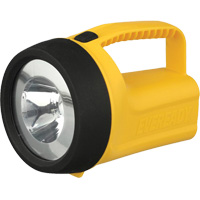 Lanterne flottante Readyflex de EverReady, DEL, 80 Lumens, Piles D Brunswick Fyr & Safety