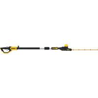 Ensemble taille-haie sur perche MAX*, 22", 20 V, &agrave; pile Brunswick Fyr & Safety