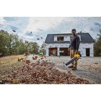 MAX* Brushless Handheld Blower (Tool Only), 20 V, 125 MPH Output, Battery Powered Brunswick Fyr & Safety