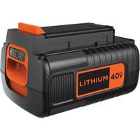 Max* Cordless Tool Battery, Lithium-Ion, 40 V, 2.5 Ah NO718 | Brunswick Fyr & Safety