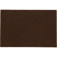 Tampons manuels Bear-Tex, Oxyde d'aluminium, 6" x 9", Grain Moyen Brunswick Fyr & Safety