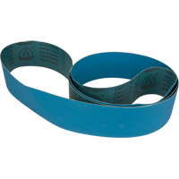 Blue Abrasive Belt NT982 | Brunswick Fyr & Safety