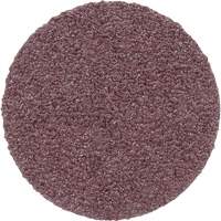 PSA Cloth Disc 348D, 20" Dia., 60 Grit, Aluminum Oxide Brunswick Fyr & Safety