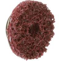 Disque TS &agrave; changement rapide 800069 P.A.R.T. # 21 Standard Abrasives, 5/8" dia., Grain Moyen, Oxyde d'aluminium Brunswick Fyr & Safety