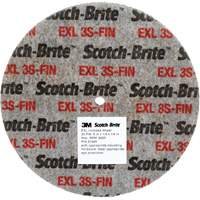 Meule unitaris&eacute;e EXL Scotch-Brite, 5" x 1/4", Arbre de 1/4", Grain de Fin, Carbure de silicium Brunswick Fyr & Safety