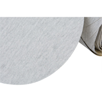 Rouleau de disques en papier 426U Stikit, 6" dia., Grain 100, Carbure de silicium Brunswick Fyr & Safety