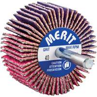 Mini-meule &agrave; lamelles mont&eacute;e sur tige, C&eacute;ramique d'alumine, Grain 40, 2" x 1" x 1/4" Brunswick Fyr & Safety