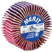 Mini-meule &agrave; lamelles filet&eacute;es, C&eacute;ramique d'alumine, Grain 40, 2" x 1" x 1/4"-20 Brunswick Fyr & Safety