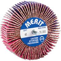 Mini-meule &agrave; lamelles filet&eacute;es, C&eacute;ramique d'alumine, Grain 40, 3" x 1" x 1/4"-20 Brunswick Fyr & Safety