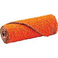 Cartouche de ruban abrasif en rouleau, 60 Grain, 1/2" dia., C&eacute;ramique d'alumine, 1-1/2" lo, 1/8" Dimension de l'arbre Brunswick Fyr & Safety