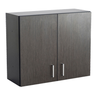 Armoire modulaire murale, 30" h x 36" la x 15" p, 1 tablettes, M&eacute;lamine, Nuit d'Asie/noir Brunswick Fyr & Safety