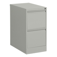 Vertical Filing Cabinet, Steel, 2 Drawers, 15-1/7" W x 25" D x 29" H, Grey Brunswick Fyr & Safety