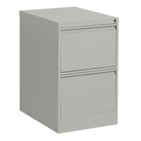 Vertical Filing Cabinet, Steel, 2 Drawers, 18-1/7" W x 25" D x 29" H, Grey Brunswick Fyr & Safety