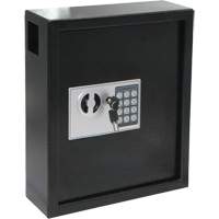 Electronic Key Safe, 48 Keys, Grey OQ769 | Brunswick Fyr & Safety