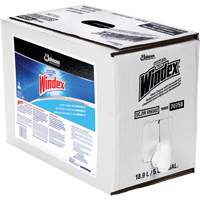 Nettoyant pour vitres Windex avec Ammoniac-D, 5 gal., Sac Brunswick Fyr & Safety