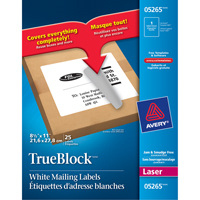 Étiquettes d'expédition au laser TrueBlock<sup>MC</sup>, 11" la x 8,5" la x Blanc OT813 | Brunswick Fyr & Safety