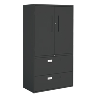 Armoire Multi-Stor, Acier, 3 Tablettes, 65-1/4" h x 36" la x 18" P, Noir Brunswick Fyr & Safety