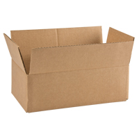 Cardboard Box, 12" x 6" x 4", Flute C PE569 | Brunswick Fyr & Safety