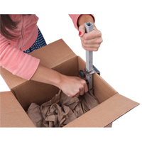 Carton Sizer Brunswick Fyr & Safety