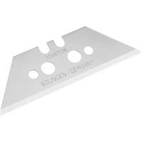 Replacement Blade, Single Style PG068 | Brunswick Fyr & Safety