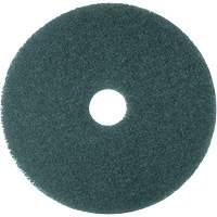 5300 Series Pad, 16", Cleaning, Blue PG207 | Brunswick Fyr & Safety