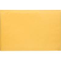 Enveloppes postales coussinées, Kraft, 12-1/2" la x 19" lo PG246 | Brunswick Fyr & Safety