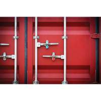 High Security Security Seal, 3-1/4", Metal, Bolt Seal Brunswick Fyr & Safety