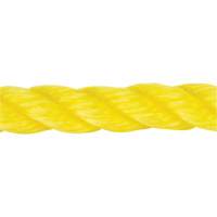 Braided Yellow Rope, Polypropylene, 144' Brunswick Fyr & Safety