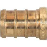 Lead-Free Pipe Plug, Pipe, 1/2" Dia., Brass Brunswick Fyr & Safety