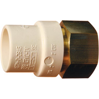 Threaded Pipe Adapter, Hub x FPT, 1" Dia., Brass/CPVC Brunswick Fyr & Safety