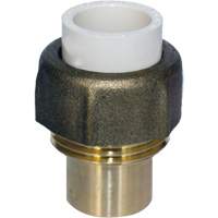 Raccord union, 1/2", PVC-C, Embout femelle x bras&eacute; Brunswick Fyr & Safety
