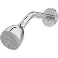 Pomme de douche monofonctionnelle Brunswick Fyr & Safety