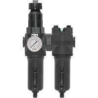 Manual Drain Filter, Regulator & Coalescing Filter with Metal Bowl Modulair 400, 1/4" NPT, 200 psi, 9.1 fl. oz. Capacity Brunswick Fyr & Safety