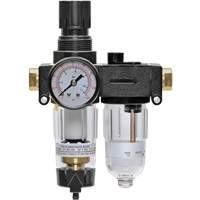 Filter/Regulator & Lubricator with Gauge Modulair 200, 1/4" NPTF Brunswick Fyr & Safety