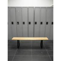 Locker Room Bench, Wood, 96" L x 9-1/4" W x 16-1/2" H RL874 | Brunswick Fyr & Safety