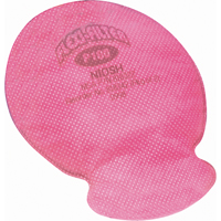 Tampons Flexi-Filter pour respirateur Advantage, Filtre contre les particules, Filtre P100 Brunswick Fyr & Safety