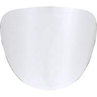 Replacement Lenses Brunswick Fyr & Safety