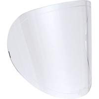 Replacement Lenses Brunswick Fyr & Safety