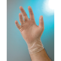 Examination Grade Gloves, Small, Vinyl, 4-mil, Powder-Free, Clear, Class 2 SAI677 | Brunswick Fyr & Safety