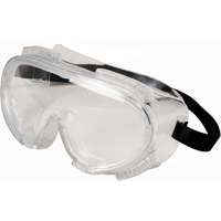 Encompass™ Safety Goggles, Clear Tint, Anti-Fog, Neoprene Band SAK589 | Brunswick Fyr & Safety