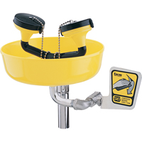 Eyewash Station, Supply Pipe Mount Installation, Plastic Bowl Brunswick Fyr & Safety