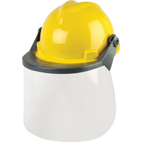 Head & Face Protection Systems Brunswick Fyr & Safety