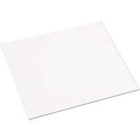 Clear Cover Lenses Brunswick Fyr & Safety