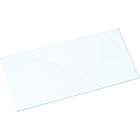 Clear Cover Lenses Brunswick Fyr & Safety