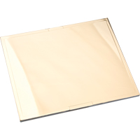 Omni-View<sup>®</sup> Gold Filter Plates SAN117 | Brunswick Fyr & Safety