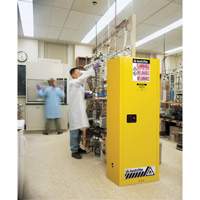 Armoire de s&eacute;curit&eacute; pour produits inflammables EX Slimline Sure-Grip , 22 gal., 1 Porte(s), 23,25" La x 65" h x 18" p Brunswick Fyr & Safety