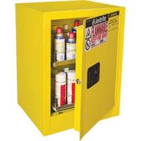 Armoire de s&eacute;curit&eacute; d'&eacute;tabli pour produits inflammables EX Sure-Grip, 24 gal., 1 Porte(s), 21" La x 27" h x 18" p Brunswick Fyr & Safety