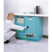 Armoires de s&eacute;curit&eacute; pour acides & produits corrosifs avec doublure ChemCor, 22 gal., 35" x 35" x 22" Brunswick Fyr & Safety
