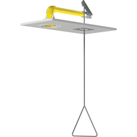 Horizontal Supply Emergency Shower Stations, Ceiling-Mount Brunswick Fyr & Safety